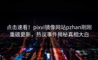 点击速看！pixvi镜像网站pzhan刚刚重磅更新，热议事件揭秘真相大白
