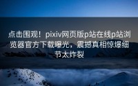 点击围观！pixiv网页版p站在线p站浏览器官方下载曝光，震撼真相惊爆细节太炸裂