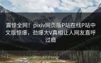 震惊全网！pixiv网页版P站在线P站中文版惊爆，劲爆大V真相让人网友直呼过瘾