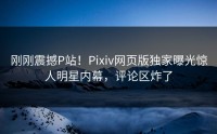 刚刚震撼P站！Pixiv网页版独家曝光惊人明星内幕，评论区炸了