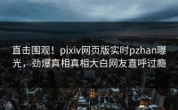 直击围观！pixiv网页版实时pzhan曝光，劲爆真相真相大白网友直呼过瘾