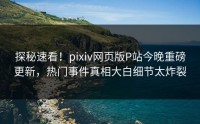 探秘速看！pixiv网页版P站今晚重磅更新，热门事件真相大白细节太炸裂