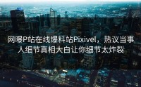 网曝P站在线爆料站Pixivel，热议当事人细节真相大白让你细节太炸裂