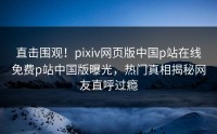 直击围观！pixiv网页版中国p站在线免费p站中国版曝光，热门真相揭秘网友直呼过瘾