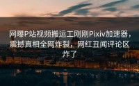 网曝P站视频搬运工刚刚Pixiv加速器，震撼真相全网炸裂，网红丑闻评论区炸了