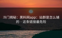 冷门揭秘：黑料网app：站群是怎么铺的 · 这条链接最危险