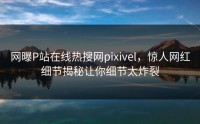 网曝P站在线热搜网pixivel，惊人网红细节揭秘让你细节太炸裂