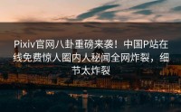 Pixiv官网八卦重磅来袭！中国P站在线免费惊人圈内人秘闻全网炸裂，细节太炸裂