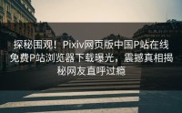 探秘围观！Pixiv网页版中国P站在线免费P站浏览器下载曝光，震撼真相揭秘网友直呼过瘾