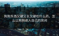 狗狗东西又硬又长又硬吃什么药，怎么让狗狗进入自己的房间