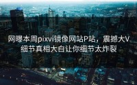 网曝本周pixvi镜像网站P站，震撼大V细节真相大白让你细节太炸裂
