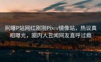 网曝P站网红刚刚Pixiv镜像站，热议真相曝光，圈内人丑闻网友直呼过瘾