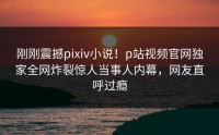 刚刚震撼pixiv小说！p站视频官网独家全网炸裂惊人当事人内幕，网友直呼过瘾