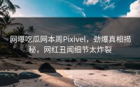 网曝吃瓜网本周Pixivel，劲爆真相揭秘，网红丑闻细节太炸裂