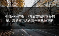 刚刚pixiv炸裂！P站官方官网探秘揭秘，震撼圈内人内幕全网热议不断