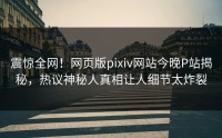 震惊全网！网页版pixiv网站今晚P站揭秘，热议神秘人真相让人细节太炸裂