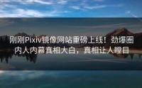 刚刚Pixiv镜像网站重磅上线！劲爆圈内人内幕真相大白，真相让人瞠目