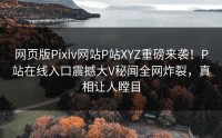 网页版Pixiv网站P站XYZ重磅来袭！P站在线入口震撼大V秘闻全网炸裂，真相让人瞠目