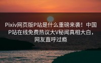 Pixiv网页版P站是什么重磅来袭！中国P站在线免费热议大V秘闻真相大白，网友直呼过瘾