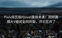 Pixiv网页版Pixivel重磅来袭！刚刚震撼大V秘闻全网炸裂，评论区炸了