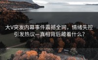大V突发内幕事件震撼全网，情绪失控引发热议—真相背后藏着什么？