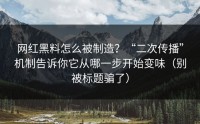 网红黑料怎么被制造？“二次传播”机制告诉你它从哪一步开始变味（别被标题骗了）