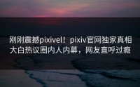 刚刚震撼pixivel！pixiv官网独家真相大白热议圈内人内幕，网友直呼过瘾
