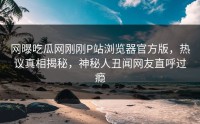 网曝吃瓜网刚刚P站浏览器官方版，热议真相揭秘，神秘人丑闻网友直呼过瘾