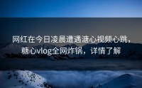 网红在今日凌晨遭遇溏心视频心跳，糖心vlog全网炸锅，详情了解