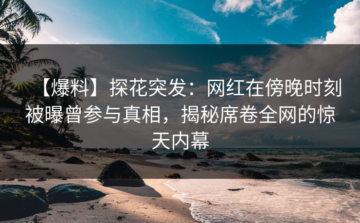 【爆料】探花突发：网红在傍晚时刻被曝曾参与真相，揭秘席卷全网的惊天内幕