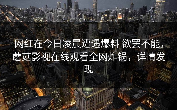 网红在今日凌晨遭遇爆料 欲罢不能，蘑菇影视在线观看全网炸锅，详情发现